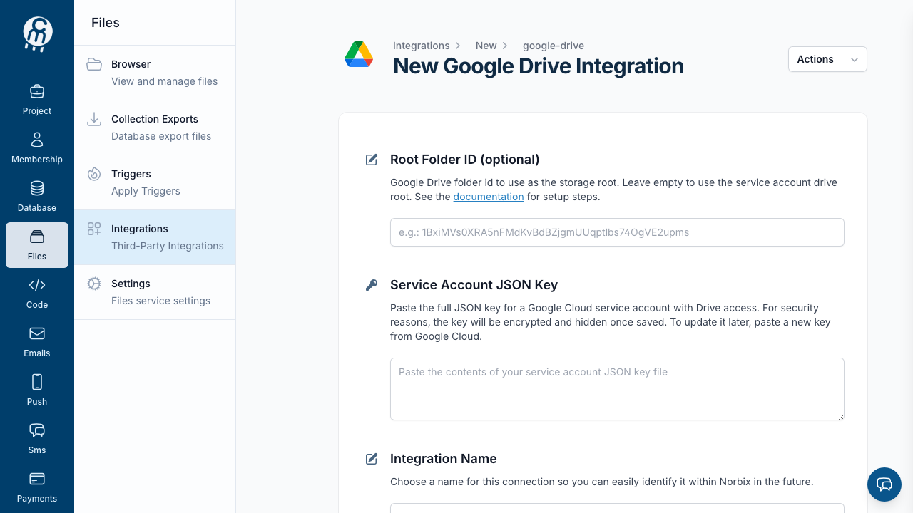 The New Google Drive Integration form
